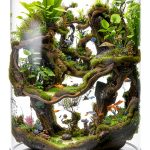 Insect & Spider Pets Care Guide by Bruno Peixoto Pires-0