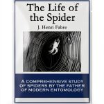 Insect & Spider Pets Guide by SMK Books-0