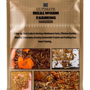 Insect & Spider Pet Care Guide Kindle Edition by Expert Authors-0