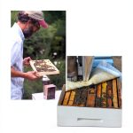 Pet Insect Care Guide by Sweet Birch Press-0