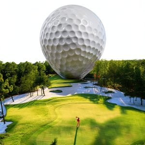Golf Motivation Kindle Book by Free Press-0